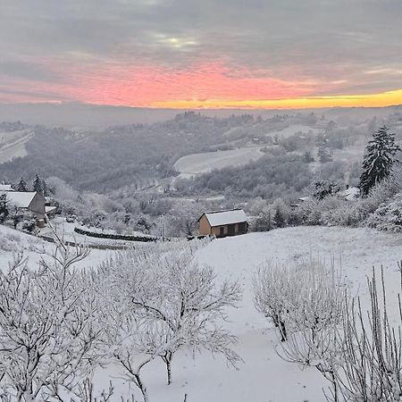 Wine Panorama House Villa Jastrebarsko Buitenkant foto