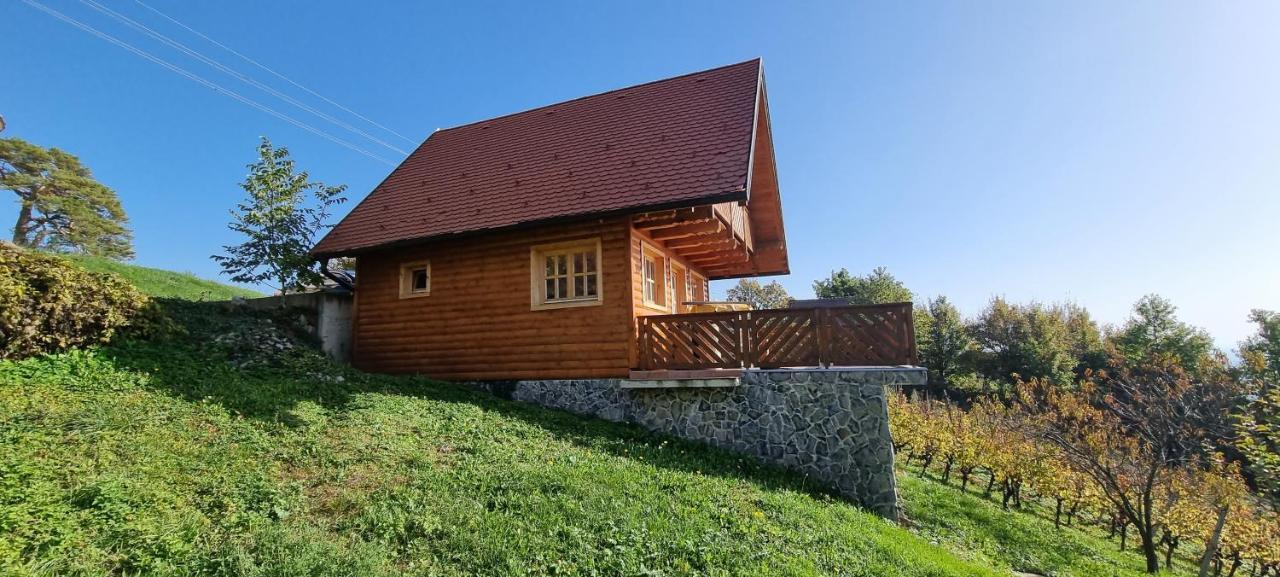 Wine Panorama House Villa Jastrebarsko Buitenkant foto