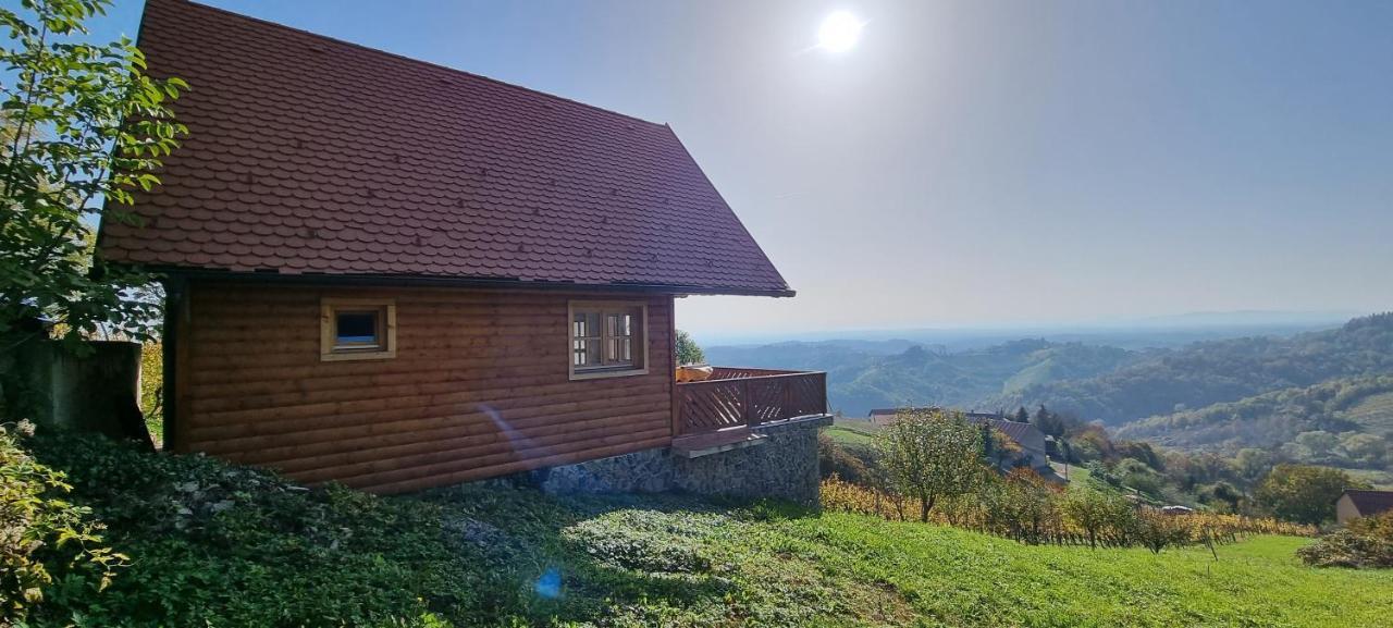 Wine Panorama House Villa Jastrebarsko Buitenkant foto