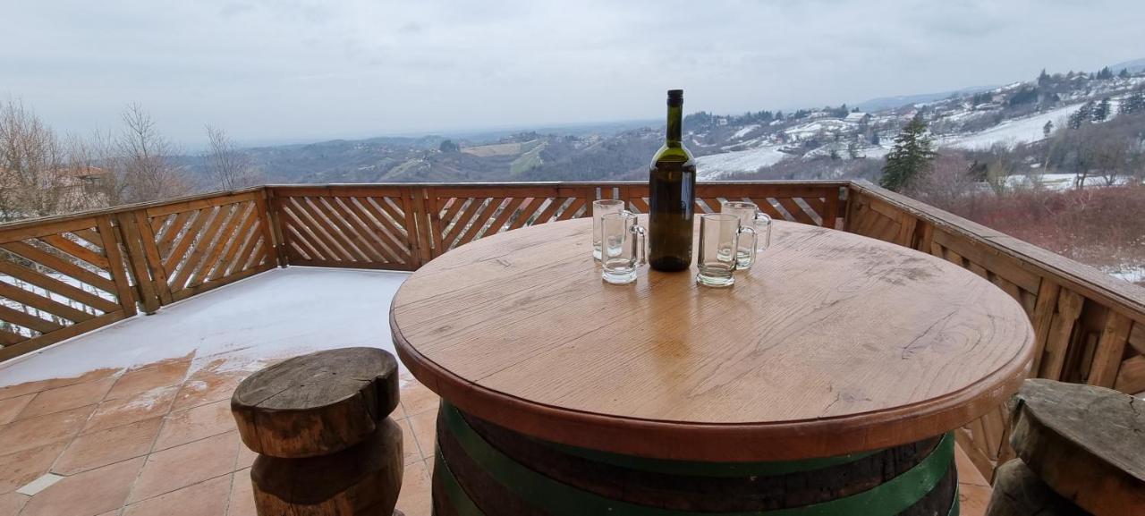 Wine Panorama House Villa Jastrebarsko Buitenkant foto