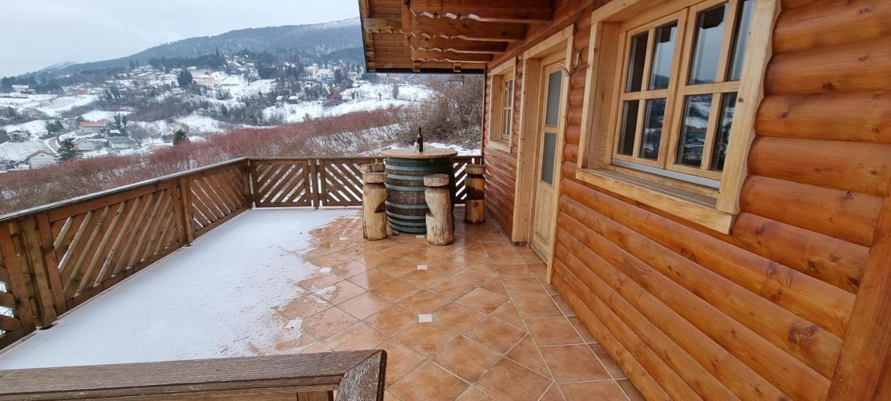 Wine Panorama House Villa Jastrebarsko Buitenkant foto
