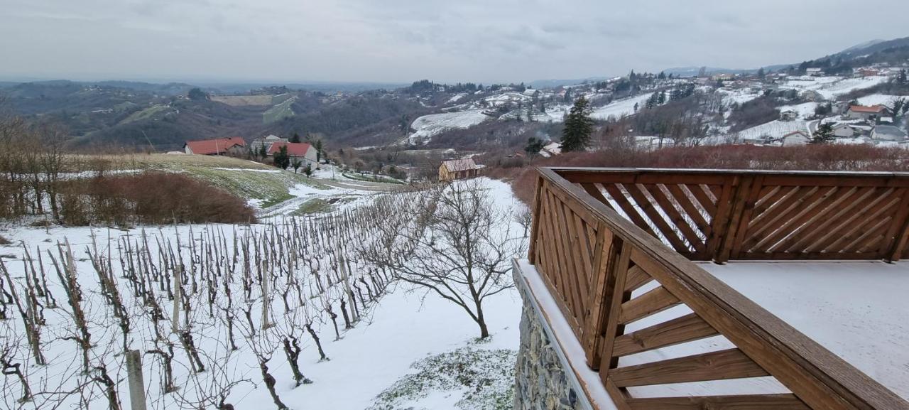 Wine Panorama House Villa Jastrebarsko Buitenkant foto